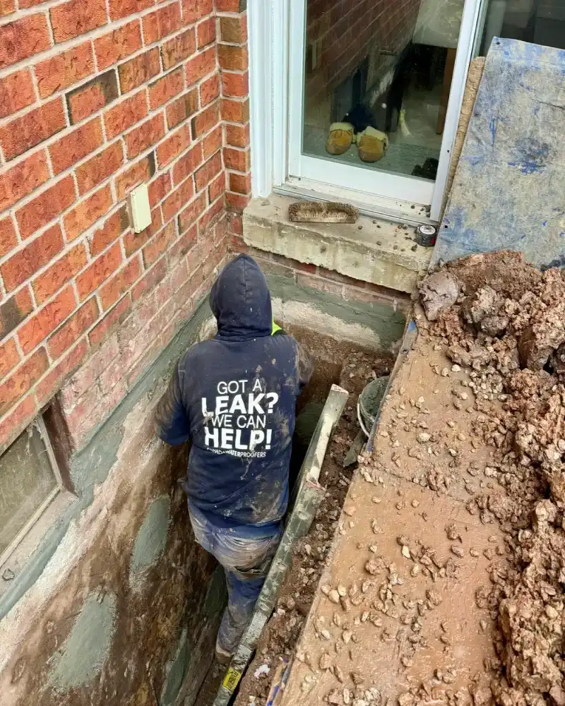 professional basement waterproofing experts