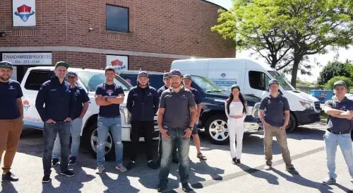 Trusted Local Waterproofing & Drainage Experts