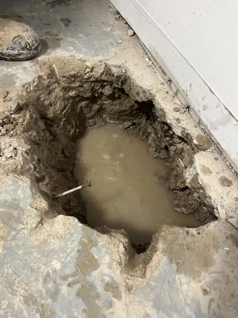 67ee553d855853aea80c4889_Sumpum-before